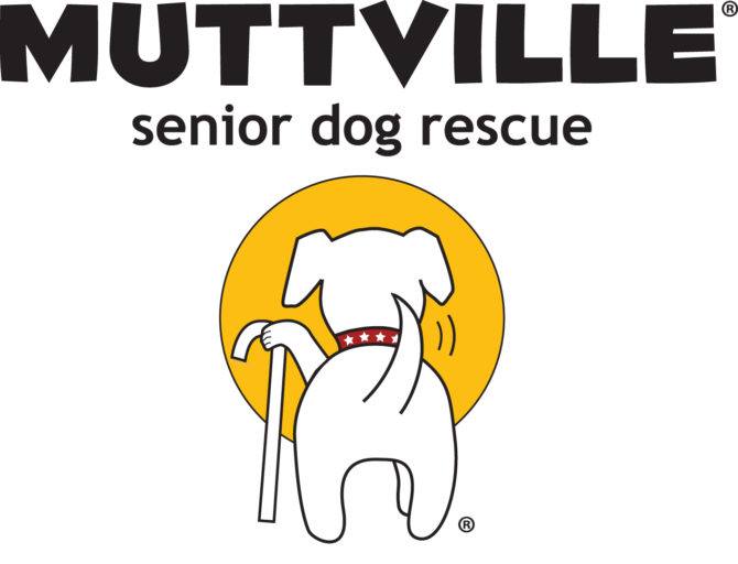 Dog Shelter Volunteer Opportunity @ Muttville – Nov 4, 2018